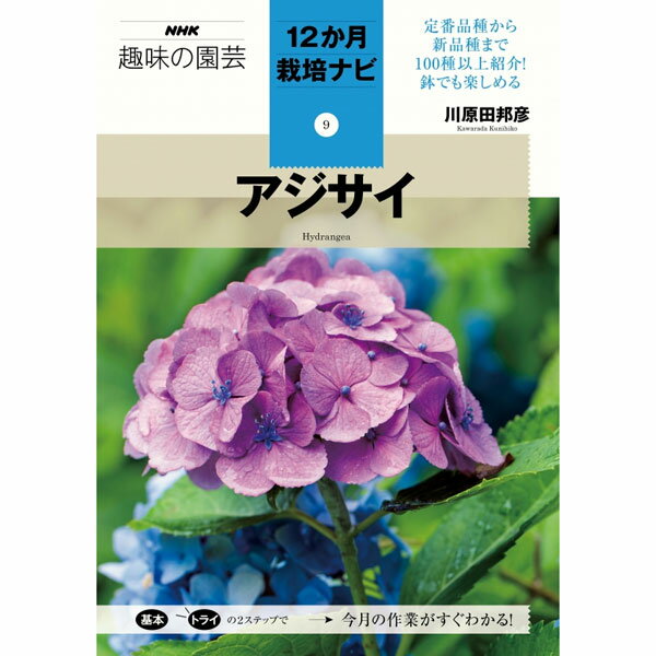 NHK趣味の園芸12か月栽培ナビ アジサイ