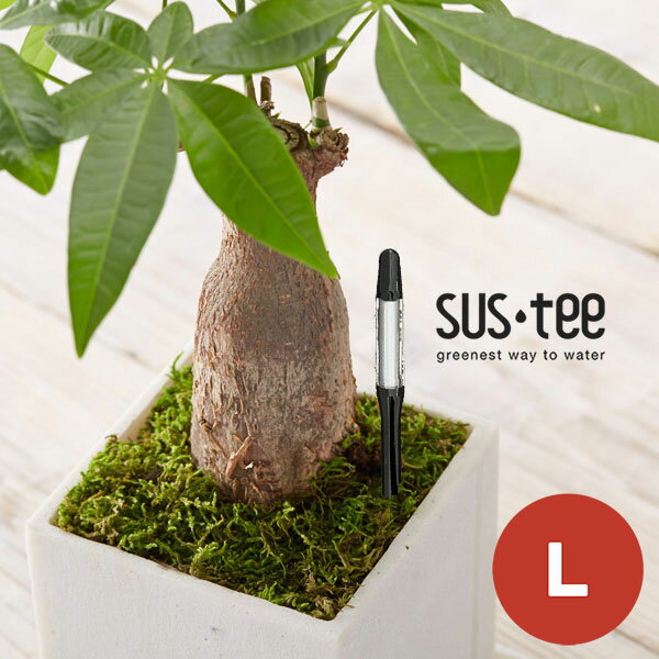 �����ƥ�����L�������ʥ֥�å���