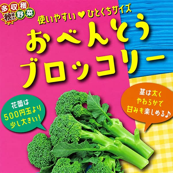 商品画像2
