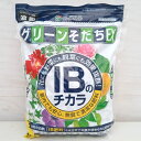 IBのチカラ グリーンそだちEX 1.4kg入り(化成肥料・10-10-10-1) 2個セット