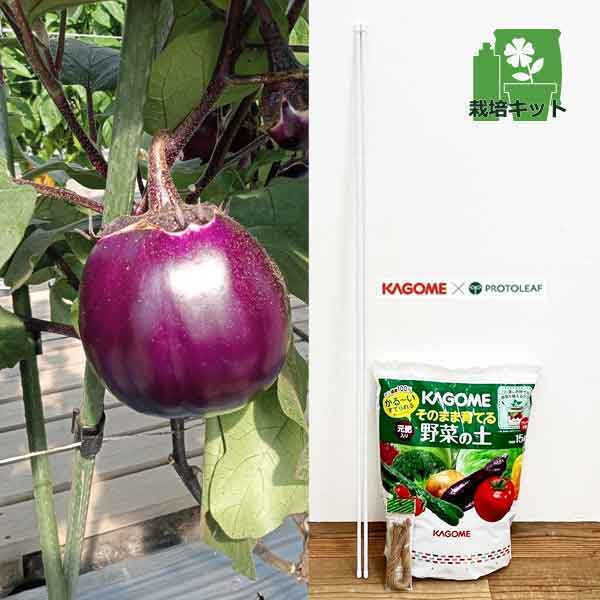野菜の苗/ナス簡単栽培セット：カゴメ　紫ナス　でかまる3号ポットのサムネイル