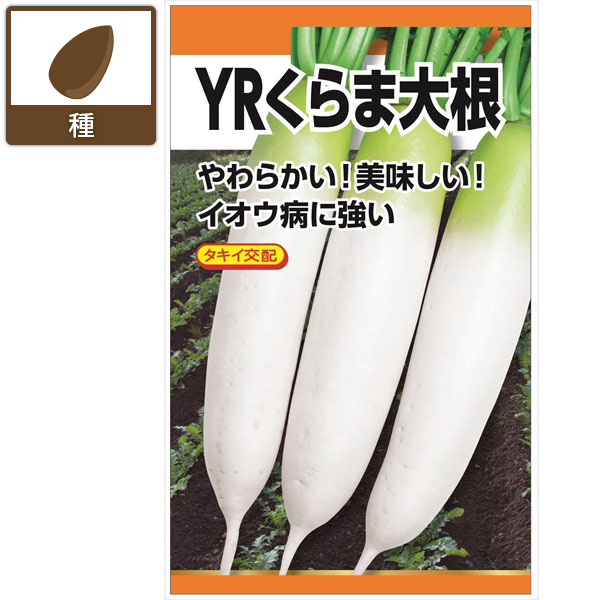 ダイコン：タキイ交配 YRくらま大根[野菜タネ 夏秋まき]