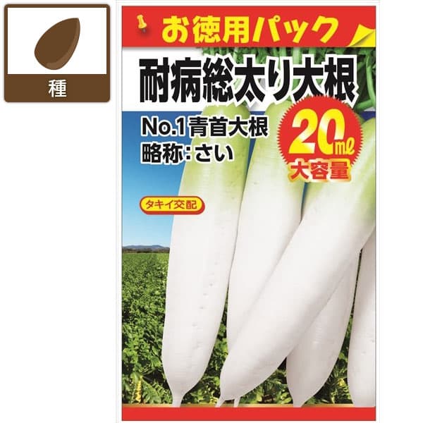 ダイコン：タキイ交配 耐病総太り(お徳用パック)[野菜タネ 夏秋まき（春まきも可能）]