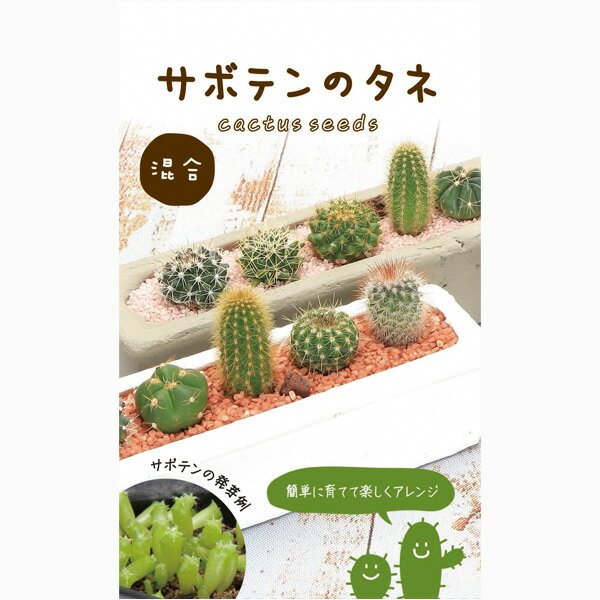 ���ܥƥ�μ�ʥߥå�����[�ܼۤ�ǯ�ޤ�������]