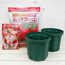 いちご用:とんでもないポット:6号CSM-180(モスグリーン)2個と土5Lと肥料200gのセット