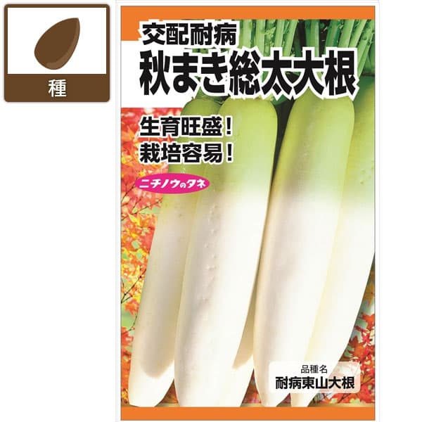 ダイコン：交配耐病秋まき総太り大根[野菜タネ 夏秋まき（春まきも可能）]