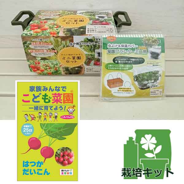 ���ɤ�ڱ�(R)���ݥ��åȡ������纬�ˡ���褱���ݲ����С��դ��� [��ڤΥ��͡��ϥĥ��������󡡼�ǯ�ޤ�]