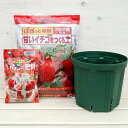 いちご用:とんでもないポット:7号1個と土5Lと肥料200gのセット