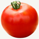 野菜の苗/トマト(大玉):かぶりつき大玉あかおう3号ポット 3株セット