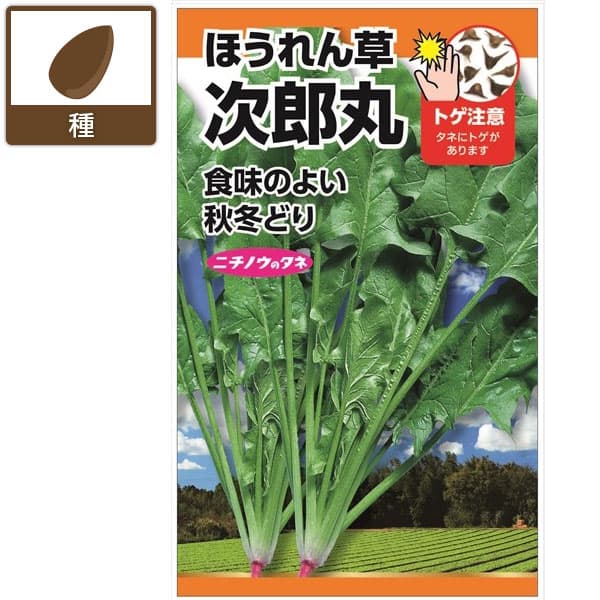 ホウレンソウ種：次郎丸ほうれん草[野菜タネ 夏秋まき]