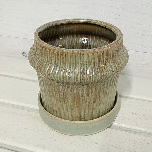 シンプリーシック：ワームモスM（直径14cm）・受け皿付き（114-015）