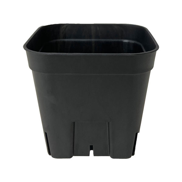 �ץ쥹�ƥ�75���֥�å�10�ĥ��å�