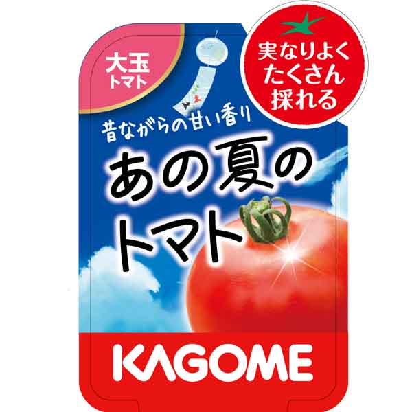 野菜の苗/トマト（大玉）：あの夏のトマト3号ポット 6株セット