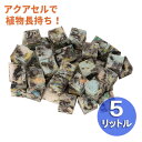 水やりサポート資材・アクアセルキューブ 5リットル(H1×D1×W1cm)