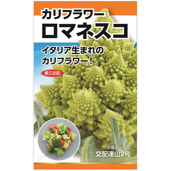 タネ・小袋 種 タネカリフラワー：ロマネスコの種[野菜タネ]美しい模様のような見た目のカリフラワー。カリコリ食感のイタリヤ野菜。まき時（冷涼地）5-6月／（暖地）8月・翌年1月収　穫（冷涼地）9-10月／（暖地）12月-翌年2月・5月内容量約0.2ml※写真はイメージです。カリフラワー：ロマネスコの種[野菜タネ]の栽培ガイド種まきの方法：容器の選び方種まきの方法：色々なタネ