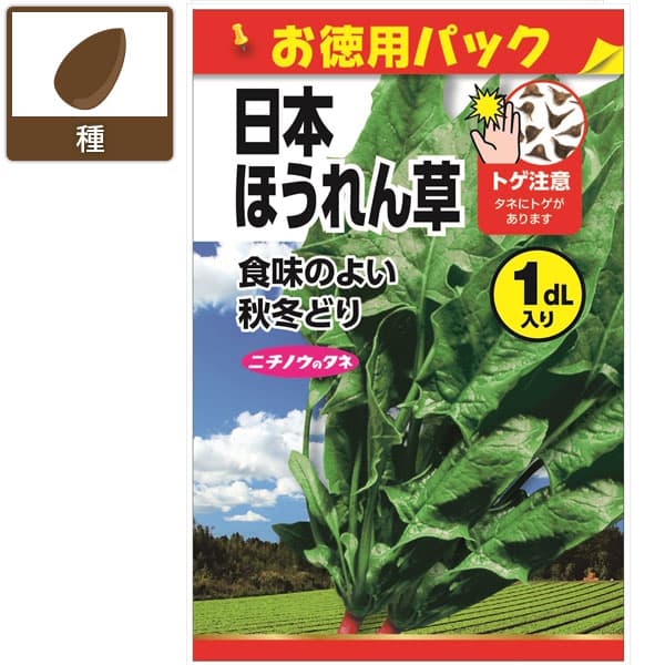 ホウレンソウ種：日本ほうれん草(お徳用パック)[野菜タネ 秋冬まき]