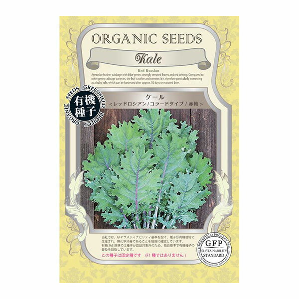 （わけあり特価）野菜の種：ケール(レッドロシアン/コラードタイプ/赤軸)[3-7月まき　野菜タネ]