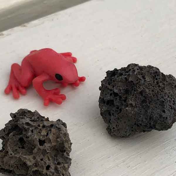 アニマルミニチュア：ヤドクガエル（赤）1個と溶岩2個付き