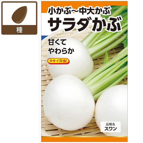 カブ種：サラダかぶ（スワン）[野菜タネ 秋まき（春まきも可能）]