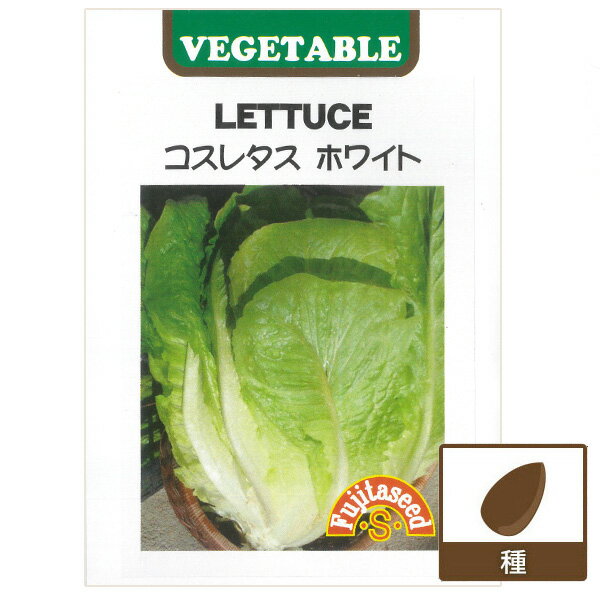（わけあり特価）コスレタス：ホワイト[野菜タネ]