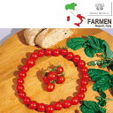 野菜の苗/料理用イタリアトマト：ピッツァヨーラ3.5号ポット 6株セット