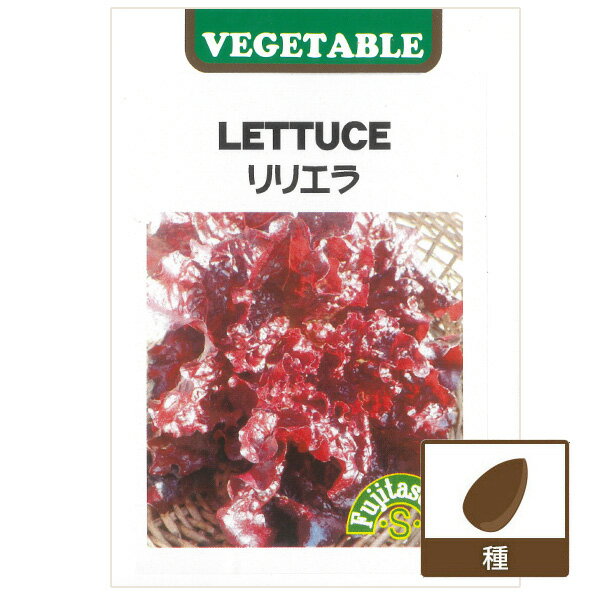 【有効期限25年11月】レタス：リリエラ [野菜タネ]