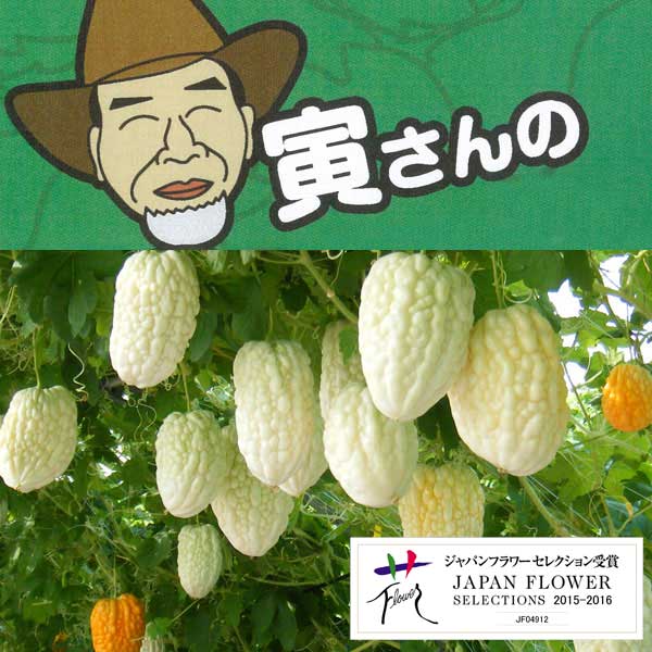 野菜の苗/寅さんの丸くて白いアップ...