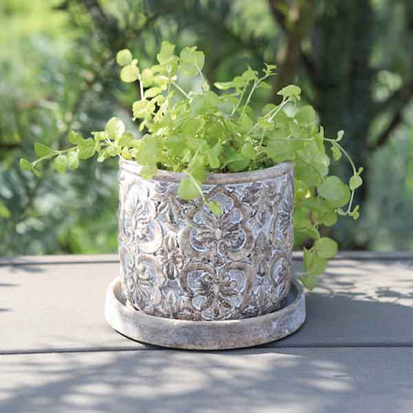 フォーリア・ラウンジポット SS(QE-34)