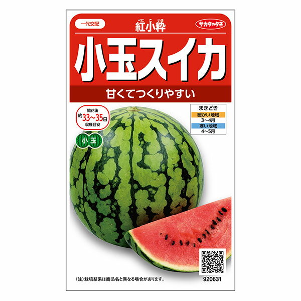Rakuten - スイカ：小玉スイカ 紅小粋（べにこいき）[サカタ 野菜タネ]