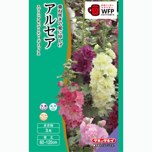 アルセア：スプリングセレブリティーズミックス[タチアオイ ホリホック 春まき タキイ 花タネ]