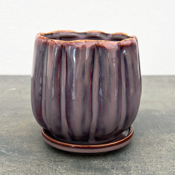 楽天市場】パープル 紫（植木鉢・プランター｜ガーデニング・農業