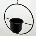 ファンヌ:サークルハンギングK(直径16cm)23006(底穴なし)