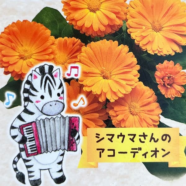 ��֤���/�⤳�⤳����󥸥�顧���ޥ��ޤ���Υ������ǥ�����ʥ��ߥե� ���󥻥åȡ�2.5����󥰥ݥå�