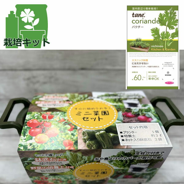 tane���ѥ������狼���Ƥ���ݥ��å�