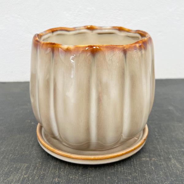 ウルル：白M（直径13.5cm）・受け皿付
