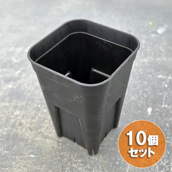 プレステラ75型 深鉢 ブラック 10個セットのサムネイル
