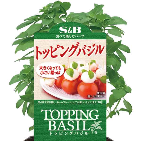 ハーブの苗/S＆Bトッピングバジル3号ポット**のサムネイル