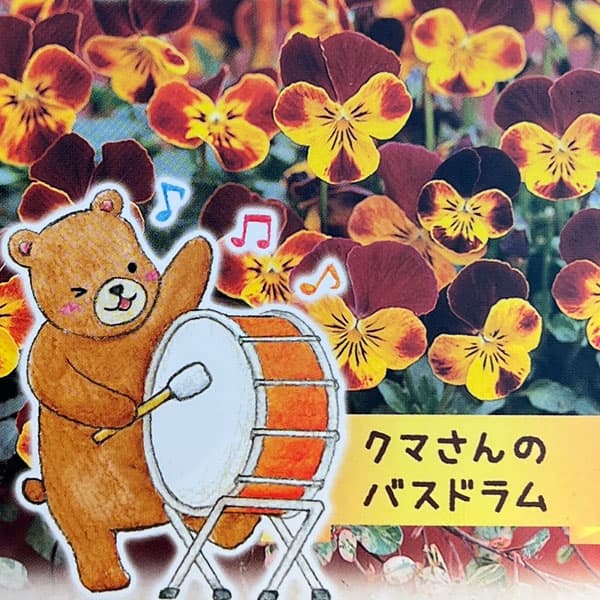 ��֤���/�ӥ��顧���ޤ���ΥХ��ɥ��ʥӥ� �ե�������2.5����󥰥ݥå�