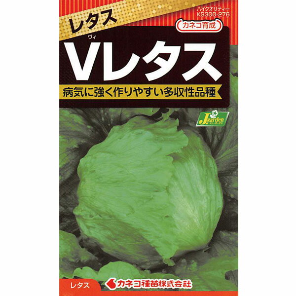 レタス：病気に強い Vレタス[春・夏まき 野菜タネ]*