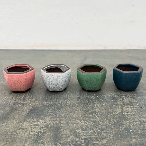 楽天市場】六角形（植木鉢・プランター｜ガーデニング・農業）：花