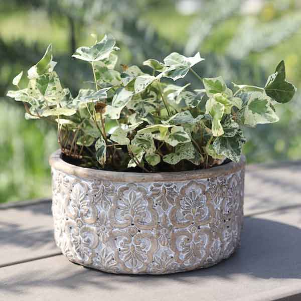 フォーリア・アウトソールポット S(QE-36)