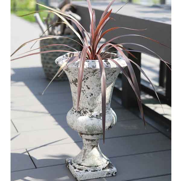 ビッグカップポット(QE-46)