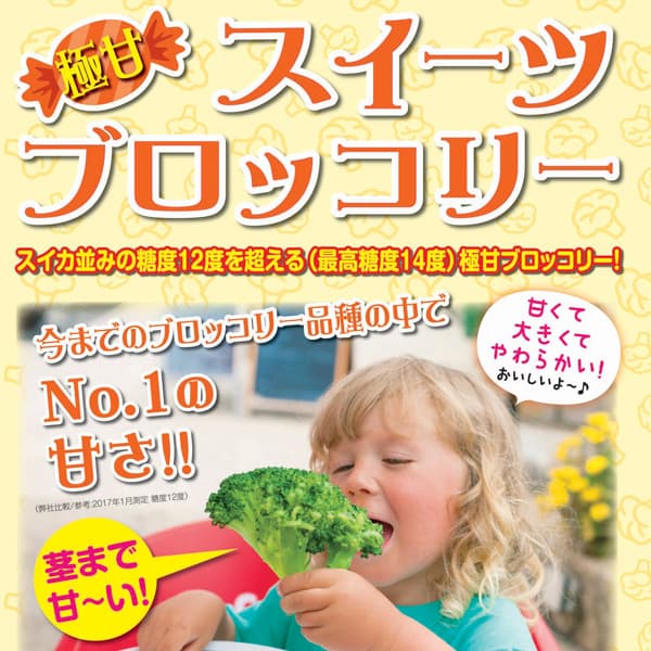 商品画像2