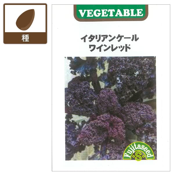 ケール種：イタリアンケール ワインレッド[野菜タネ]