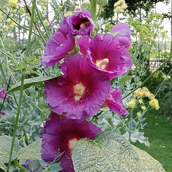 ��֤���/���륻���ʥ����������ˡ��ѡ��ץ�쥤��3��ݥå�