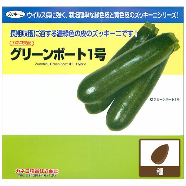 ズッキーニ：うどんこ病に強い 強健ズッキーニ グリーンボート1号[野菜タネ]*