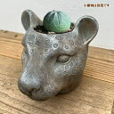 シャンタル レオパードS LC019