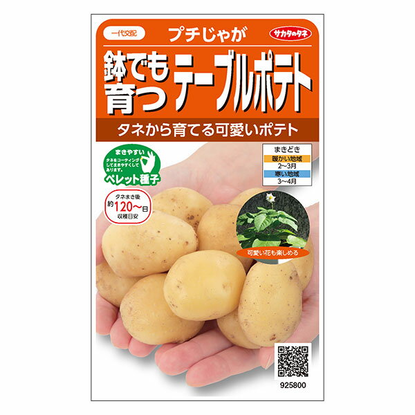 ジャガイモ：プチじゃが テーブルポテト の種[サカタ 野菜タネ]