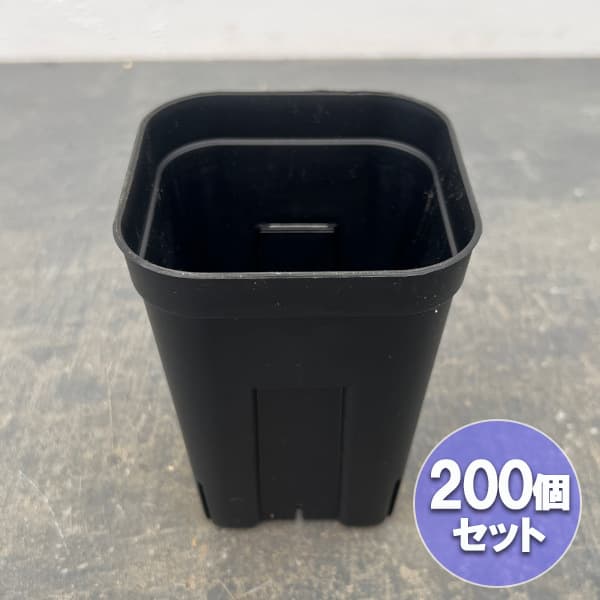 送料無料 プレステラ105型 深鉢 ブラック 200個セット