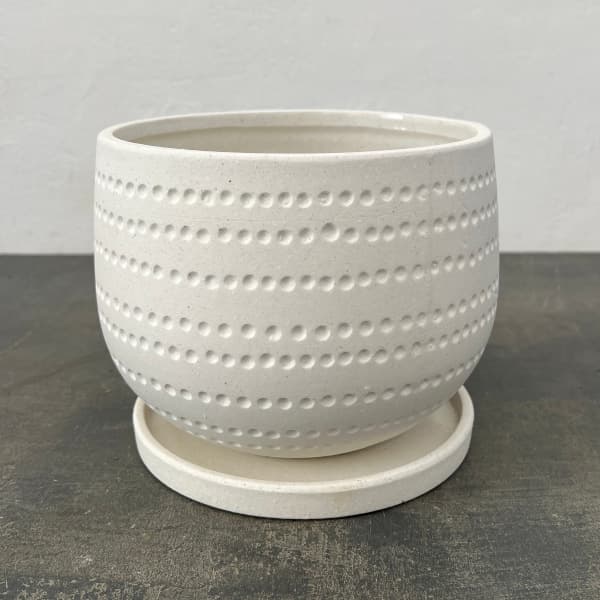 Rakuten - エスビューク シャロー ホワイト 18cm・皿付